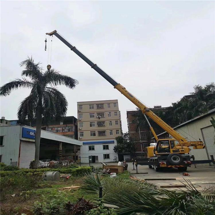 岱山县汽车吊出租多少钱？全面解析与市场行情